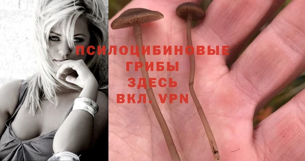 ECSTASY Абдулино