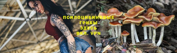 героин Абаза
