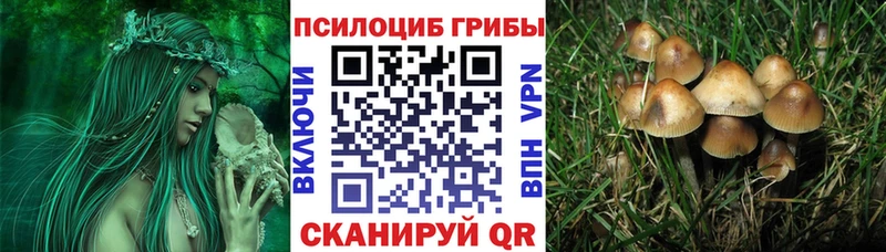 Псилоцибиновые грибы MAGIC MUSHROOMS Красновишерск